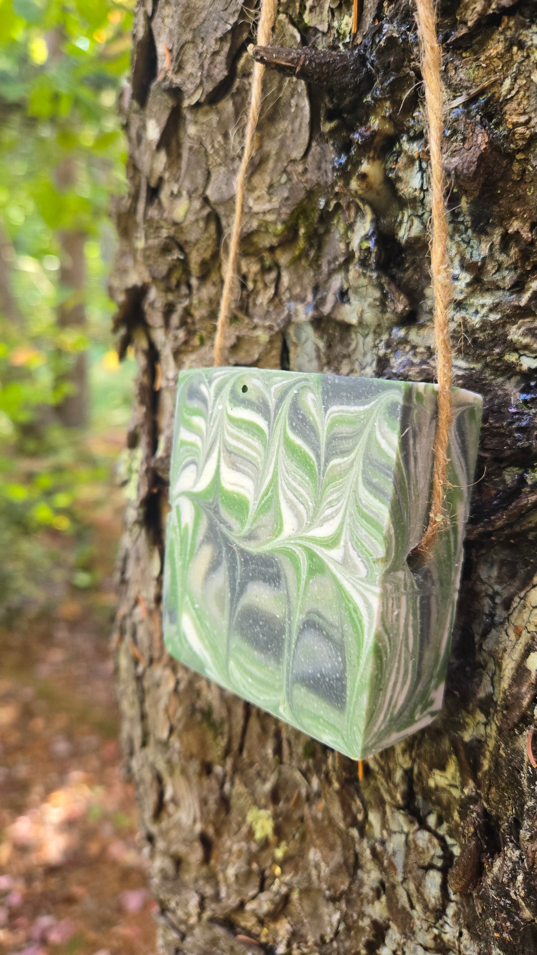 Savon aux huiles essentielles de cèdre, de sapin baumier,épinette noire et pin sylvestre