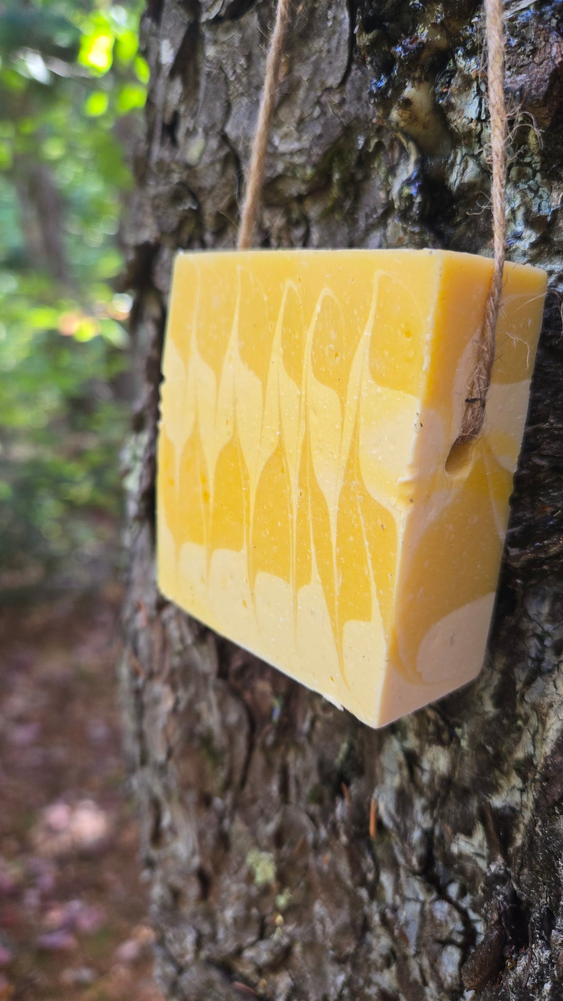 Savon aux huiles essentielles d'agrumes et jus de carotte